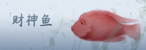 财神鱼
