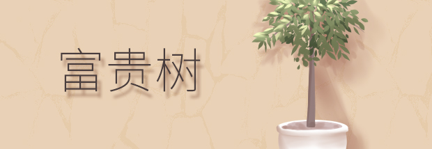 富贵树