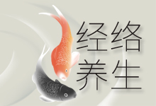 经络养生