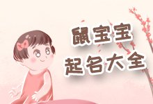 鼠宝宝起名大全