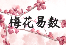 梅花易数