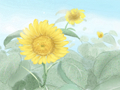 2019年印度排灯节是什么时候 是什么节日
