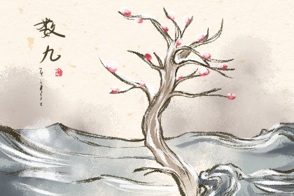 数九从哪一天开始2019 数九寒天是什么意思