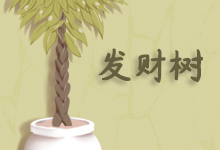 发财树