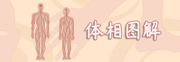 体相图解