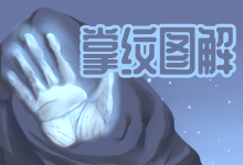 掌纹图解