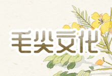 毛尖文化