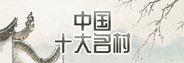 中国十大名村