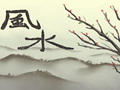 富贵树开花意味什么 怎么说