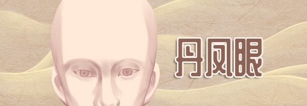 丹凤眼