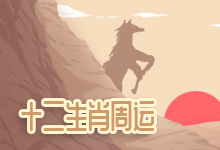 十二生肖周运