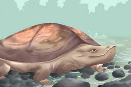综合测试