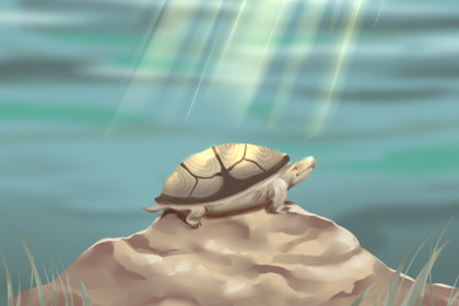 综合测试