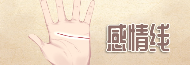 感情线