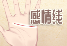 感情线