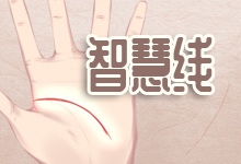 智慧线