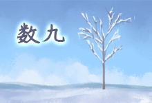 数九