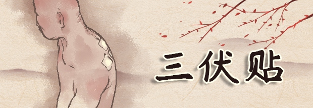 三伏贴