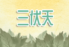 三伏天