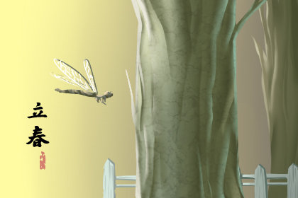 2020年立春具体时间 关于立春的图片