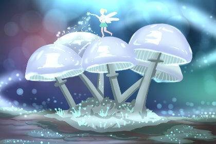 惊蛰前后种什么蔬菜 各地区适合种什么