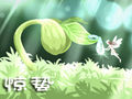 惊蛰开什么花 种什么农作物
