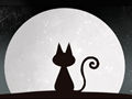 梦到抱着很温顺的猫是什么意思