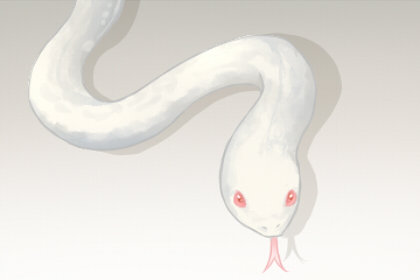 梦见别人变成蛇是什么意思 预兆