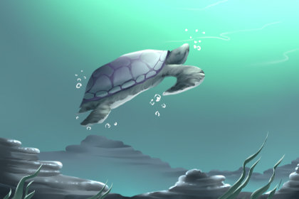 爱情测试