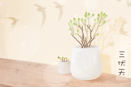 2020年三伏天是几月份 三伏贴的作用功效