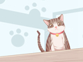 梦到猫死了有什么预兆