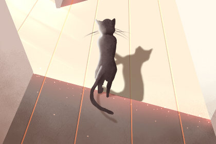 今日立夏2020 5月5日立夏具体时间