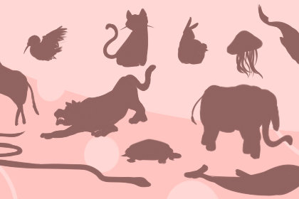 女人做梦梦到猫和老鼠什么意思
