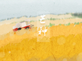芒种节气的含义 特点是什么