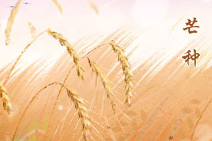 2020芒种节气的暖心祝福 简短独特的祝福