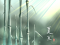 夏至期间的气候特征 天气特点
