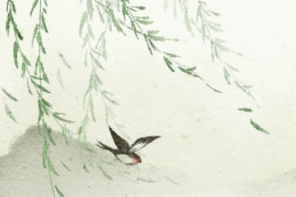 财富测试