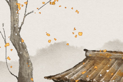 二十四节气中 既是节气又是传统节日的是什么