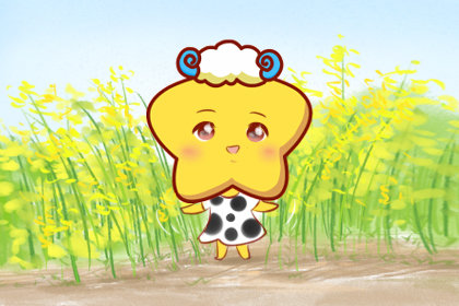 不说谎恋人是哪些星座 安全感满分