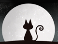 女人做梦梦到猫生小猫是啥意思