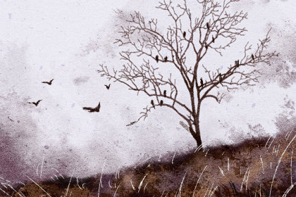 2021房产过户吉日 买房过户黄道吉日查询