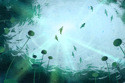 一年中最差的十二个日子 十三个忌日