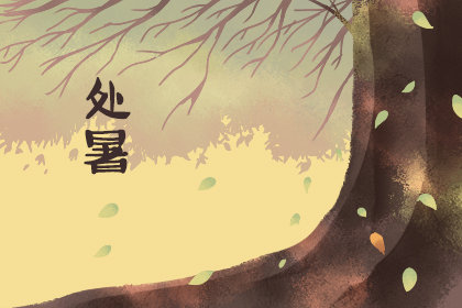 2020年8月22号处暑的时间 几点钟开始