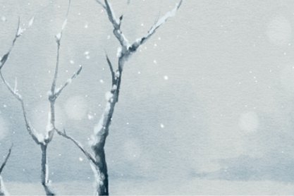 小雪飞满天来岁是丰年什么意思 节气简短由来