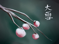 大雪二候虎始交是什么意思 老虎会卡开始求偶