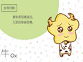 年龄查询 2021年1岁属什么生肖什么命