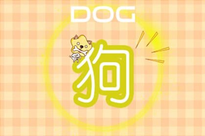 生肖狗2021上半年事业运怎么样
