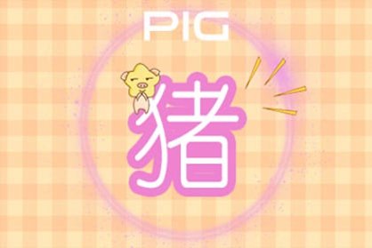 21年1月属猪事业运怎么样 哪个运势最好