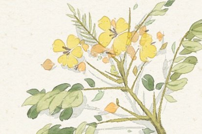 春节给老师送什么礼物合适