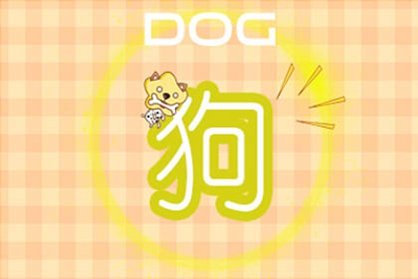 2021年生肖狗的婚姻运势好不好 今年感情运程详解